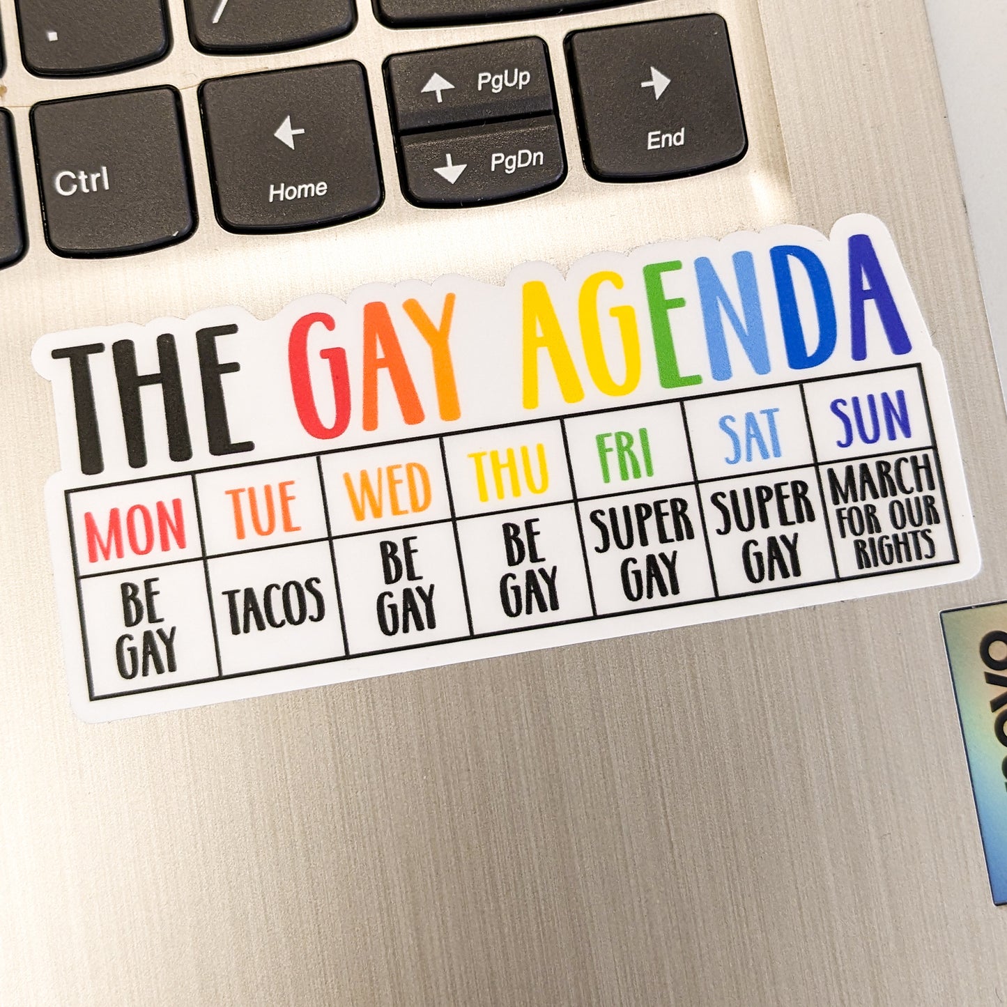 The Gay Agenda Sticker