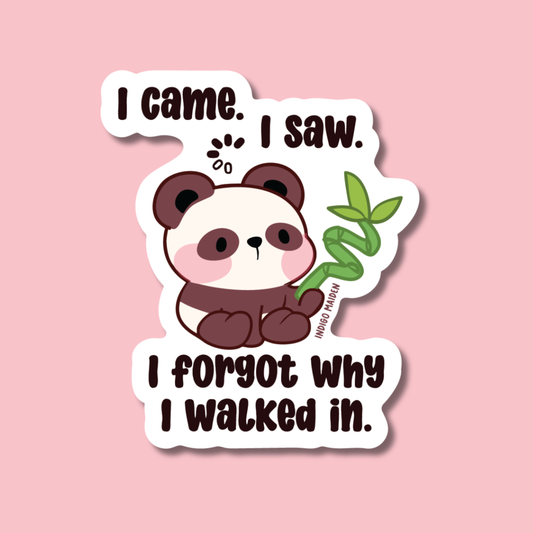 I Came I Saw I Forgot Why I Walked In
